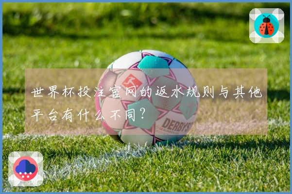 世界杯投注官网的返水规则与其他平台有什么不同？