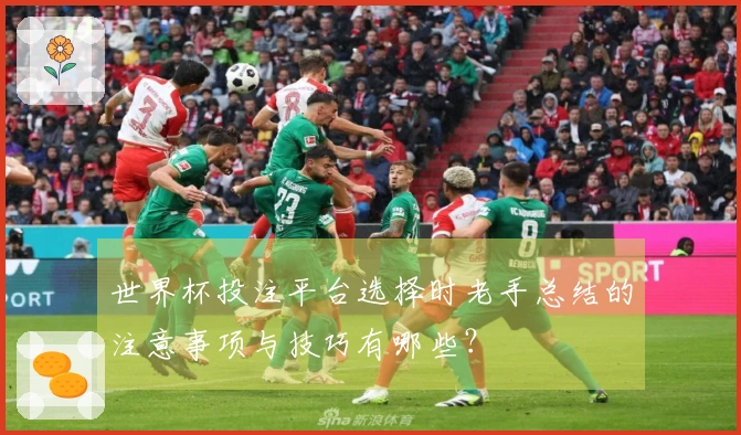世界杯投注平台选择时老手总结的注意事项与技巧有哪些？