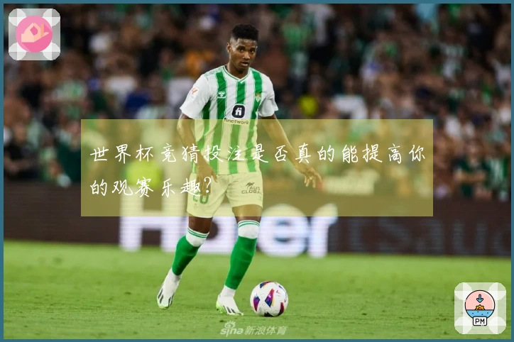 世界杯竞猜投注是否真的能提高你的观赛乐趣？