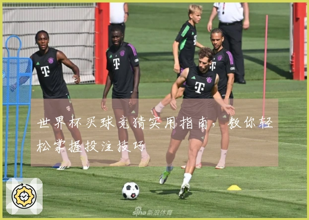 世界杯买球竞猜实用指南，教你轻松掌握投注技巧