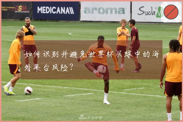 如何识别并避免世界杯买球中的海外平台风险？