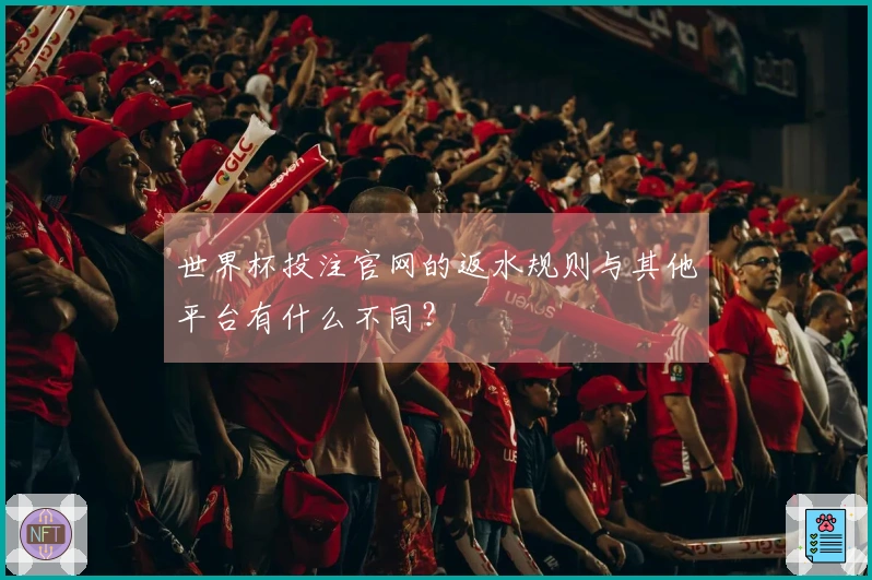 世界杯投注官网的返水规则与其他平台有什么不同？